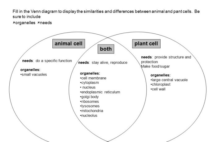 Venn diagram for plants and animals