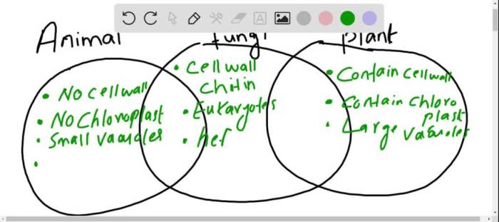 Venn diagram for plants and animals