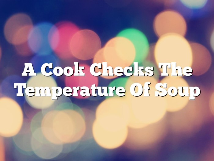 A cook checks the temperature of soup