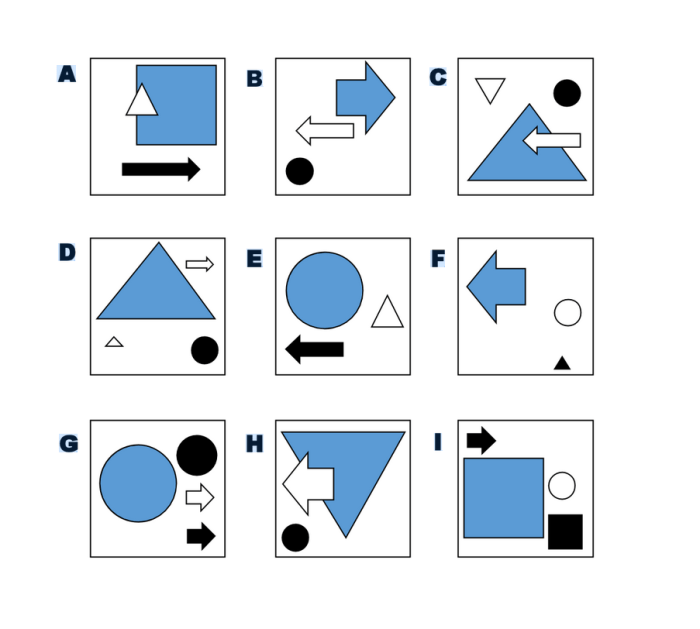 Unit 5: reasoning and organization - reading quiz