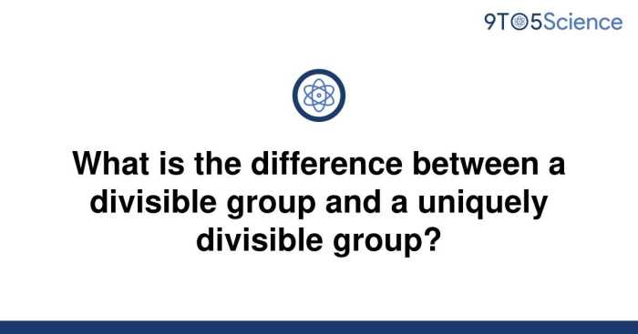 Which is an example of how a denomination is divisible